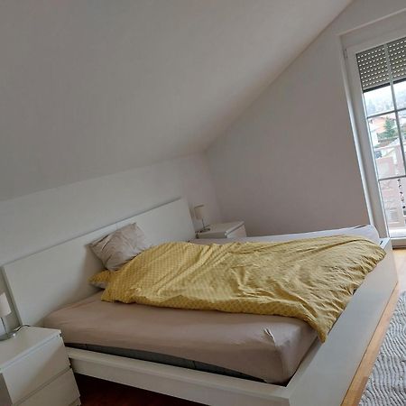 Ferienwohnung Gerti 핀카펠드 외부 사진